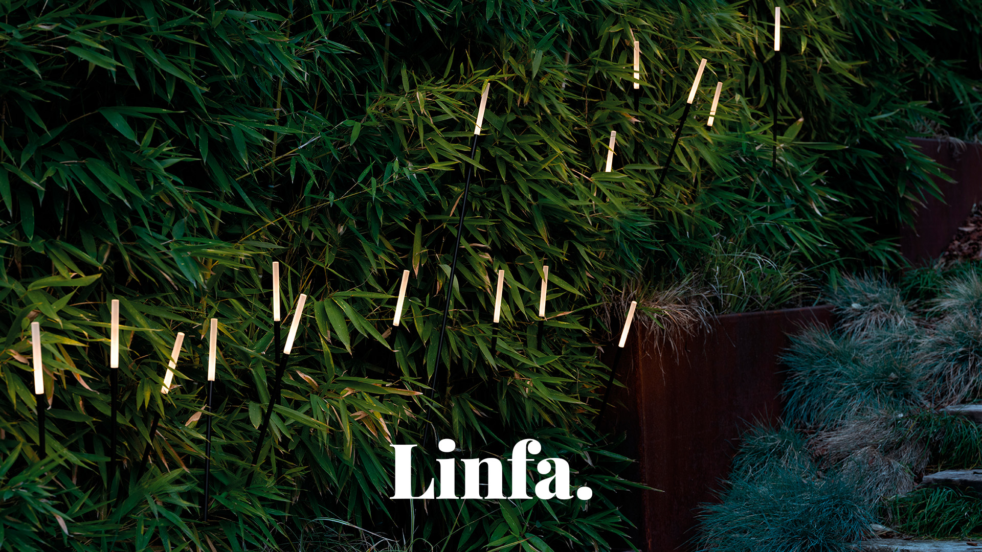 Linfa 1