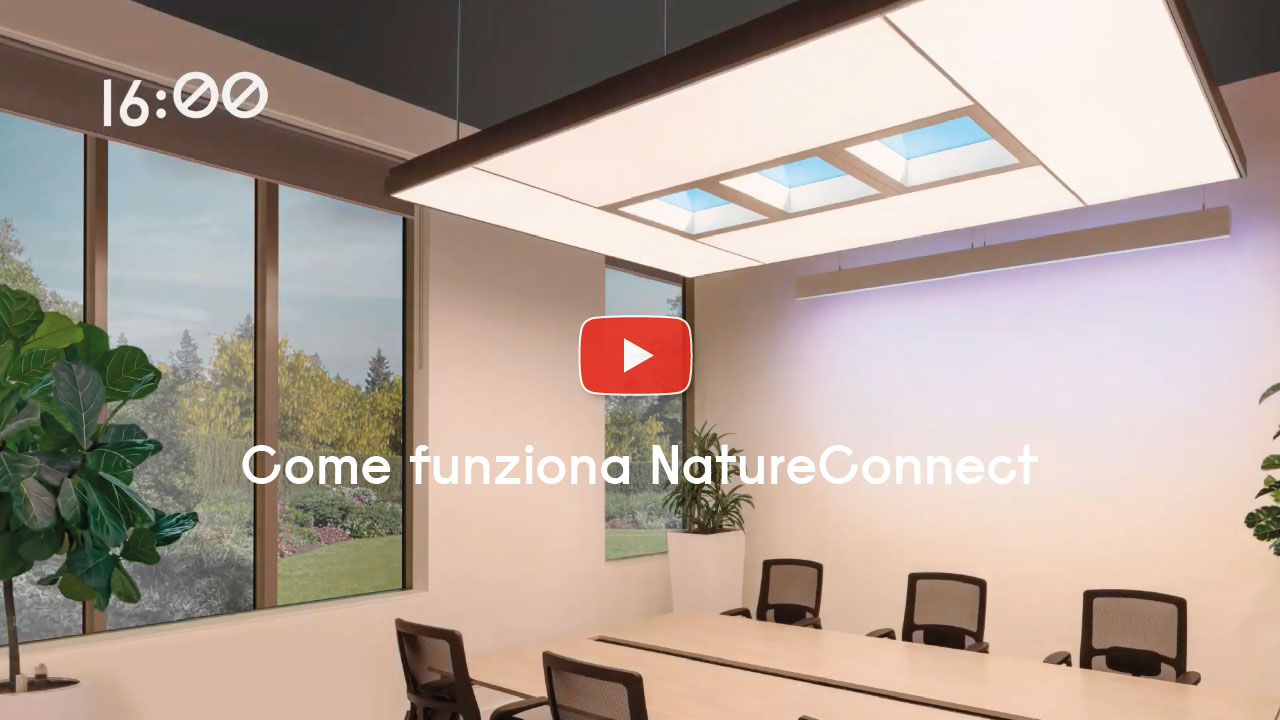 anteprima-video-per-sito-come-funziona-nature-connect